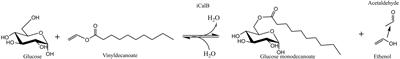 Optimization of Glycolipid Synthesis in Hydrophilic Deep Eutectic Solvents